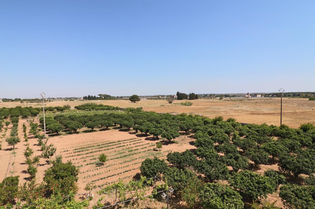 Tenuta Degli Agrumi Carmiano  Exterior photo